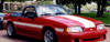 1987-93 SAAC Mustang Dual Lemans Hood Stripes - GT or LX Models